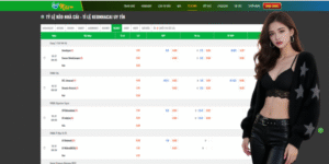 How to Maximize Your Experience on the Platform